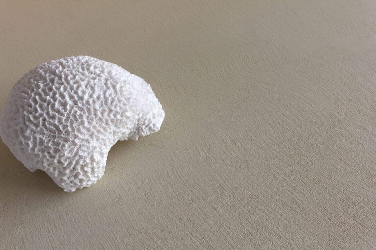 ErreLAB ErreFAST Fine light neutral surface with close-up textured detail of resin finish