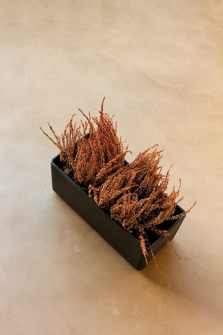 Specialist application brush with copper bristles for ErreLAB Velato coating